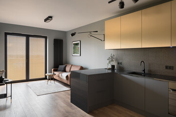 Contemporary apartment with stylish furniture