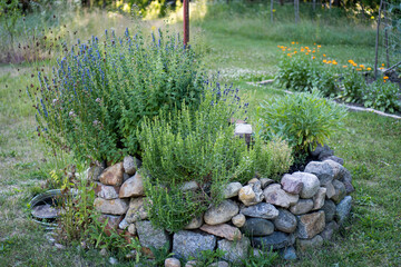 Kräuterspirale im Sommer im Garten / Konzept: Spirale aus Steinen mit blühenden Kräutern bepflanzt 