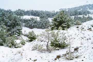 Fototapeta na wymiar Mountains in the snow, winter landscape