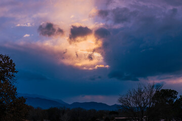 Sandhill Cranes Migration in a dark Early Morning Sky with room for a Title