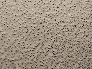 texture of a stone