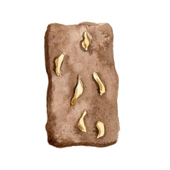 Cookie watercolor food illustration isolated on white background