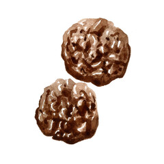 Cookie chocolate watercolor food illustration isolated on white background