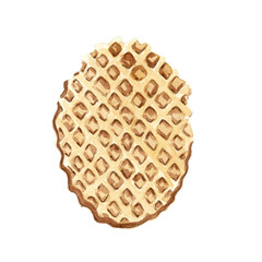 Waffle food illustration isolated on white background