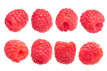 Raspberries  isolated, a set of. Rubus idaeus fruits - obrazy, fototapety, plakaty
