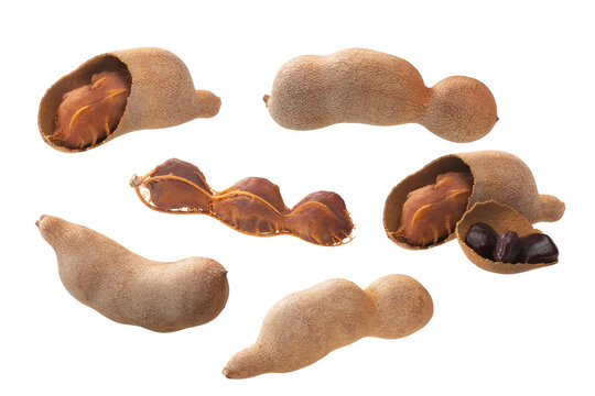 Tamarind pods (Tamarindus indica fruits): whole, cracked, seeds and pulp, isolated