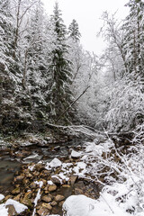 Snowy weather in the mountains