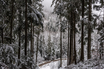 Snowy weather in the mountains