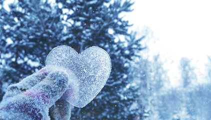 frozen icy heart in hand, natural winter background. concept of love, romantic, February 14,...