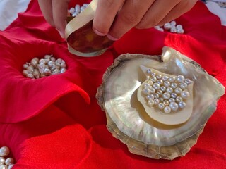 pearl farm, Ras Al Khaimah in the United Arab Emirates,