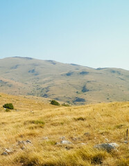 Obraz premium Top of Mountains in Galicica National Park, Macedonia.
