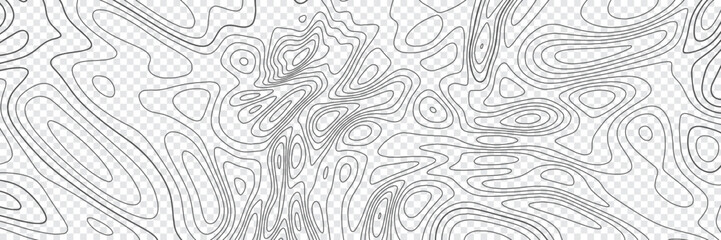 Topographic contour map. similarcartography illustration. Topography and geography map grid abstract backdrop. Business concept. Fish Fillet Texture, Salmon fillet texture, fish pattern. paper