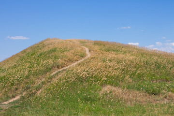 Obraz premium Ancient kurgan in the Ukrainian steppe on the territory of the national nature reserve 