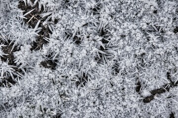 Eiskristalle an der Fensterscheibe 