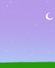 Obraz na płótnie Canvas Fondo con cielo estrellado, luna y pasto