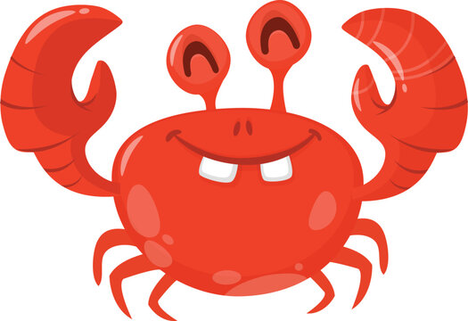 Crab in cartoon style. Sea animal isolated on white background.