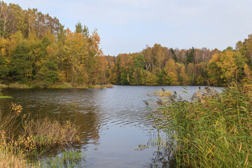 Lake with trees on the shore with yellowed foliage in autumn in sunny weather.