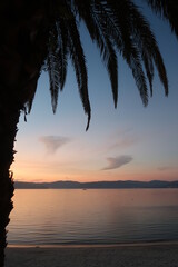 Atardecer con palmeras