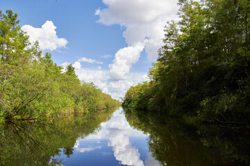 Obraz na płótnie Canvas Florida Everglades