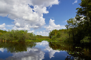 Fototapeta na wymiar Florida Everglades