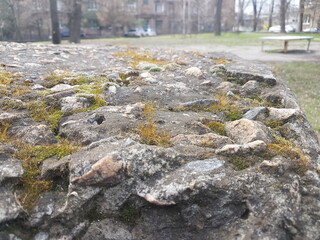 moss on the rocks