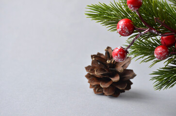 Christmas fir branch and cone on a white background.