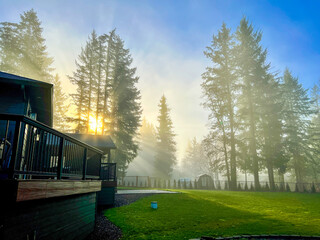 Enchanted mist at sunset