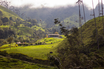 valle del cocora paisa cu,tural cafetero