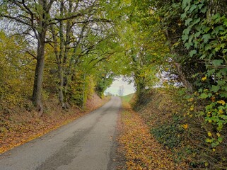Route campagnarde au milieu de l'automne.