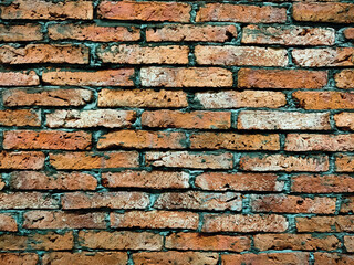 An old brick wall is a good background.