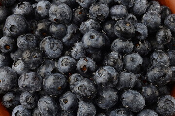 Fresh blueberry background. Texture blueberry berries close up
