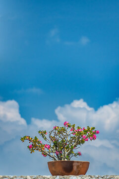 Up against the Sky