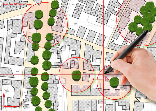 Census of singol, group or row trees in cities -  green management and tree mapping concept with imaginary city map with highlighted trees
