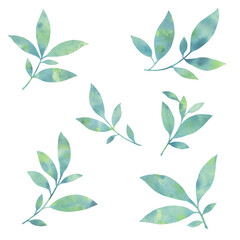 set of watercolor leaves. graceful leaves for design, postcards, invitations, prints. Delicate branches illustration