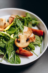 Bowl with chicken, mushrooms, tomatoes and greens. Concept of healthy eating.