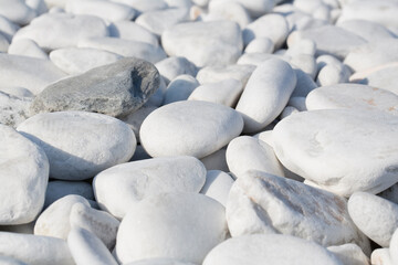 Background with white and gray stones softly rounded and washed from sea water