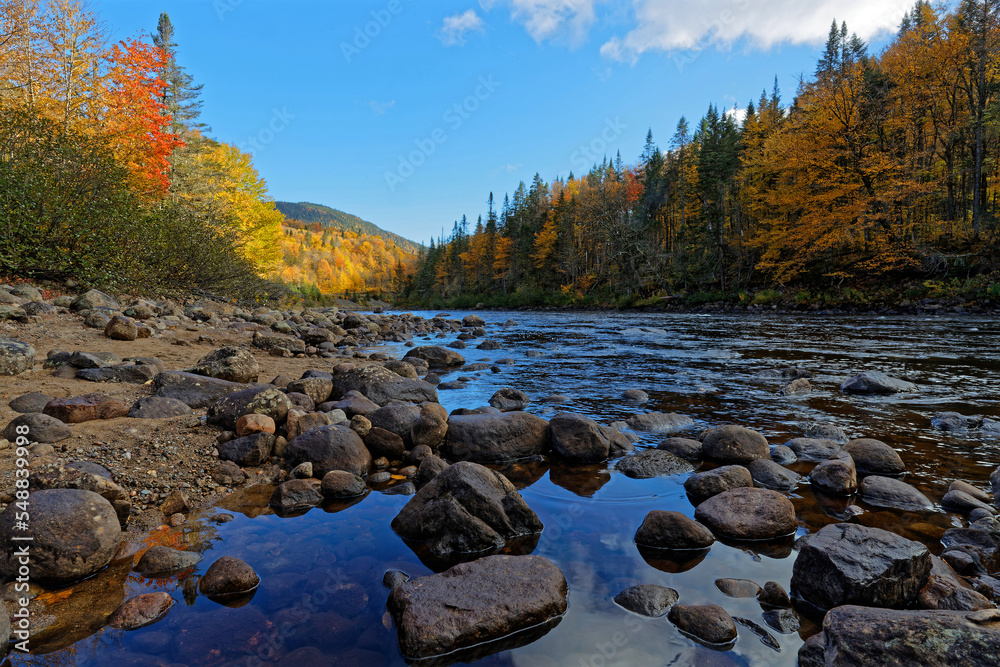 Poster Rocks andcolored forest around the Jacques-Cartier river in the National Park, Quebec