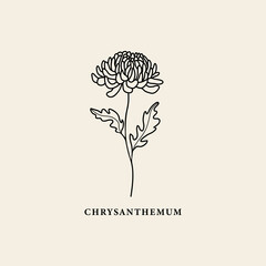 Line art chrysanthemum flower illustration - obrazy, fototapety, plakaty