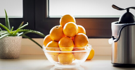 A bunch of oranges in a glass bowl on top of a white marble near to a juicer and aloe vera plant. Oranges to make a freshly squeezed juice