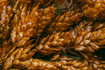 Macro shot of pinecones