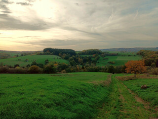 Obraz premium Blick ins Nordpfälzer Bergland und das Obere Glantal vom Wanderweg Traumtour Diamant bei Brücken in der Verbandsgemeinde Oberes Glantal im Landkreis Kusel, Rheinland-Pfalz.