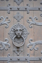 lion head door knocker on wooden door