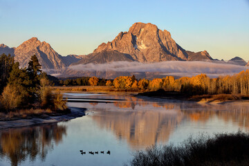 Autumn glow and morning mist at Oxbow Bend in Grand Teton National Park