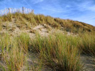 Dunes at Berck sur Mer, a commune in the northern French department of Pas-de-Calais.It lies within the Marquenterre regional park, an ornithological nature reserve 