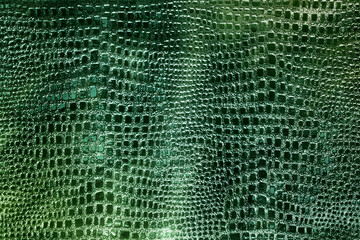 green artificial python skin, snakes, crocodile, trend, fashion, background