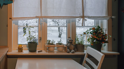 winter by the kitchen window