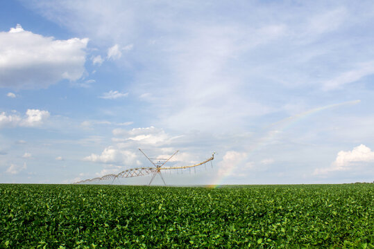 Pivot Irrigation System In An Open Field