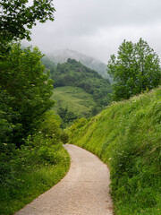 Fototapeta na wymiar Sendero de pista forestal vacío, hacia la montaña con niebla blanca al fondo, rodeado de árboles verdes en el verano de 2021 viajando por Asturias, España.