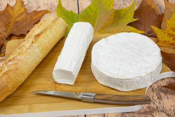 fromages coulommiers et buche de chèvre en gros plan