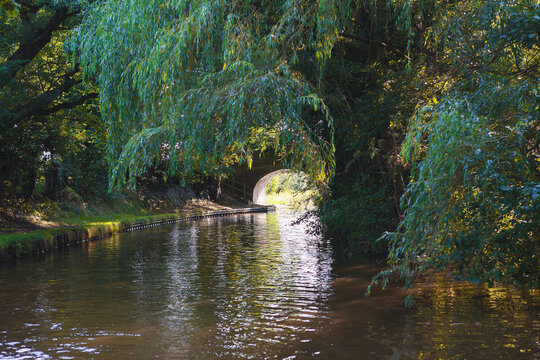 Sylvan approach to Maestermyn House Bridge No.4W on the Llangollen Canal, Shropshire, England